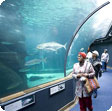 ingilizce kursu capetown